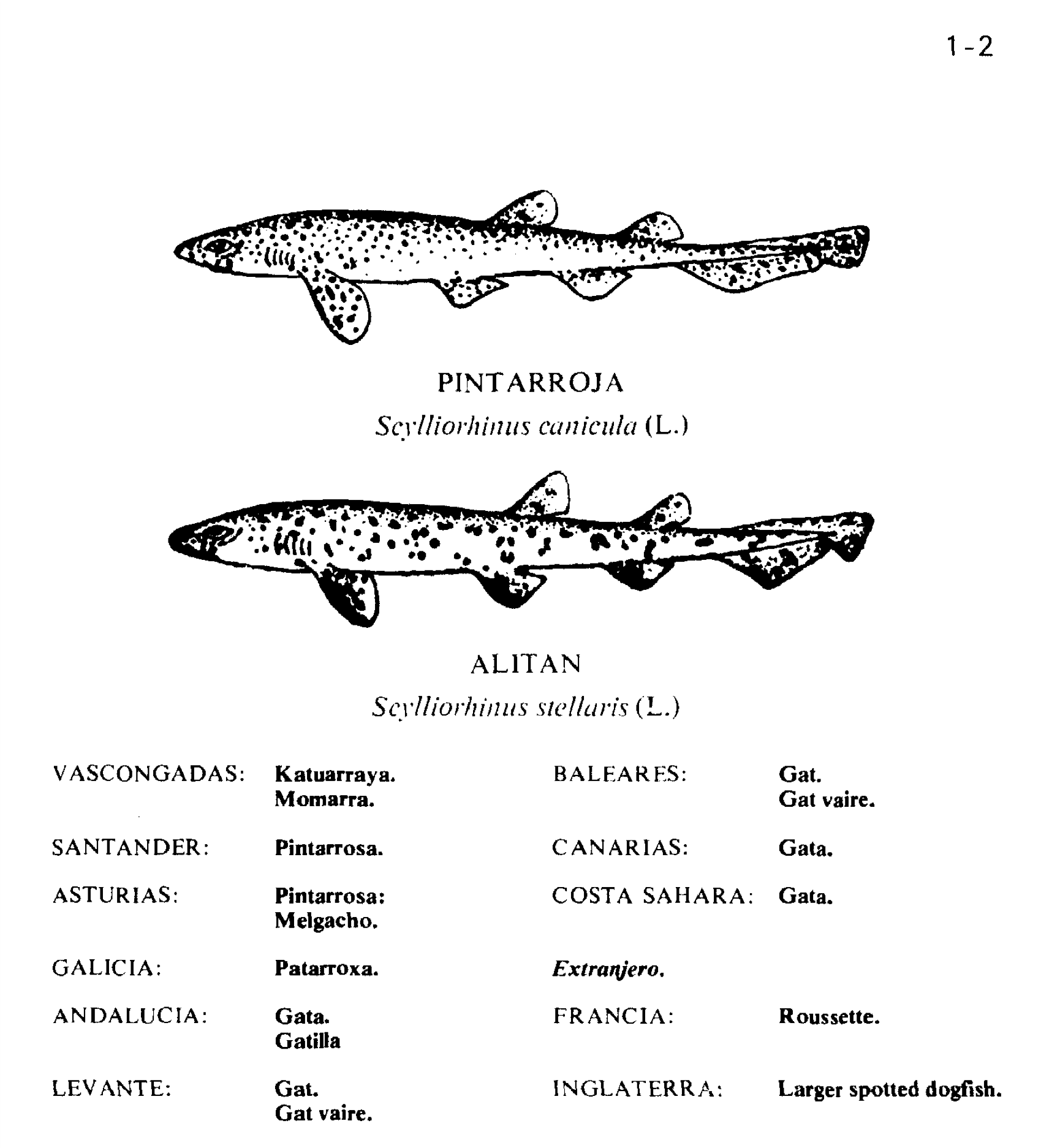Dibujos de María del Carmen Simón Sánchez. Fuente: https://www.mapa.gob.es/ministerio/pags/biblioteca/fondo/pdf/13747_all.pdf